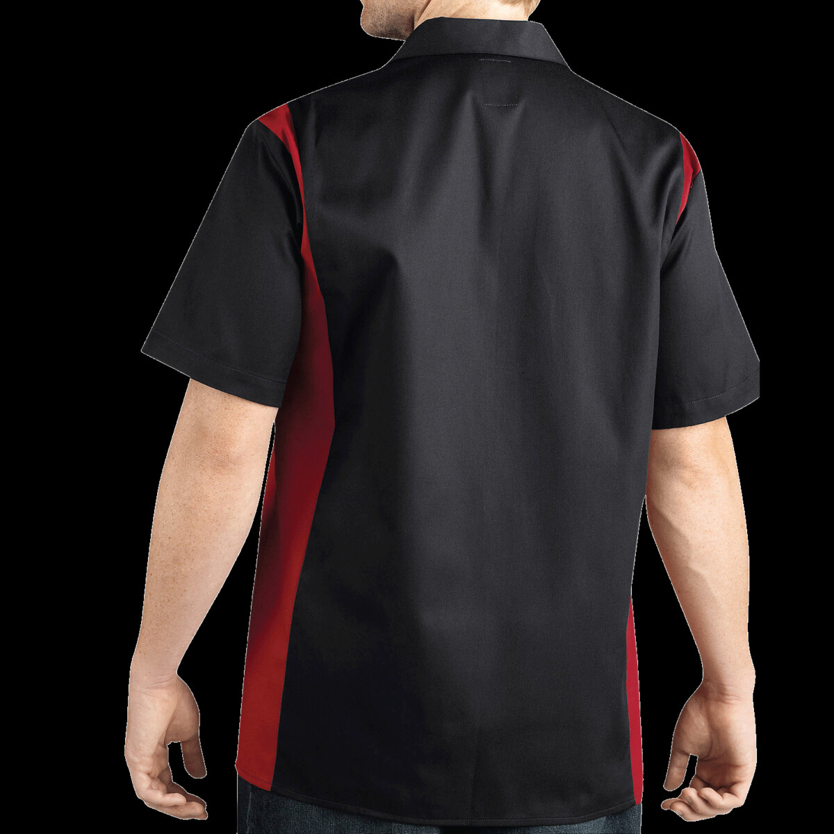 Back